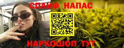 гидра Кандалакша