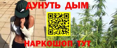 гидра Кандалакша