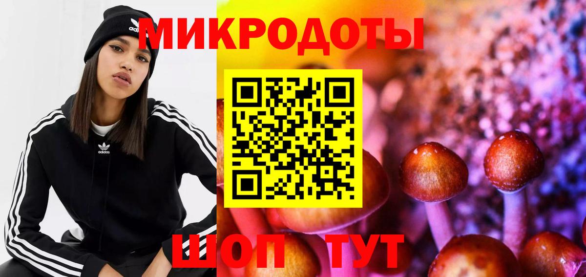 Псилоцибиновые грибы Psilocybe  Псилоцибиновые грибы GOLDEN TEACHER  Вход с VPN  Копейск 